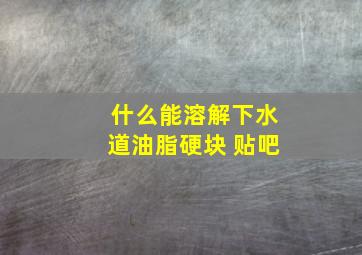 什么能溶解下水道油脂硬块 贴吧